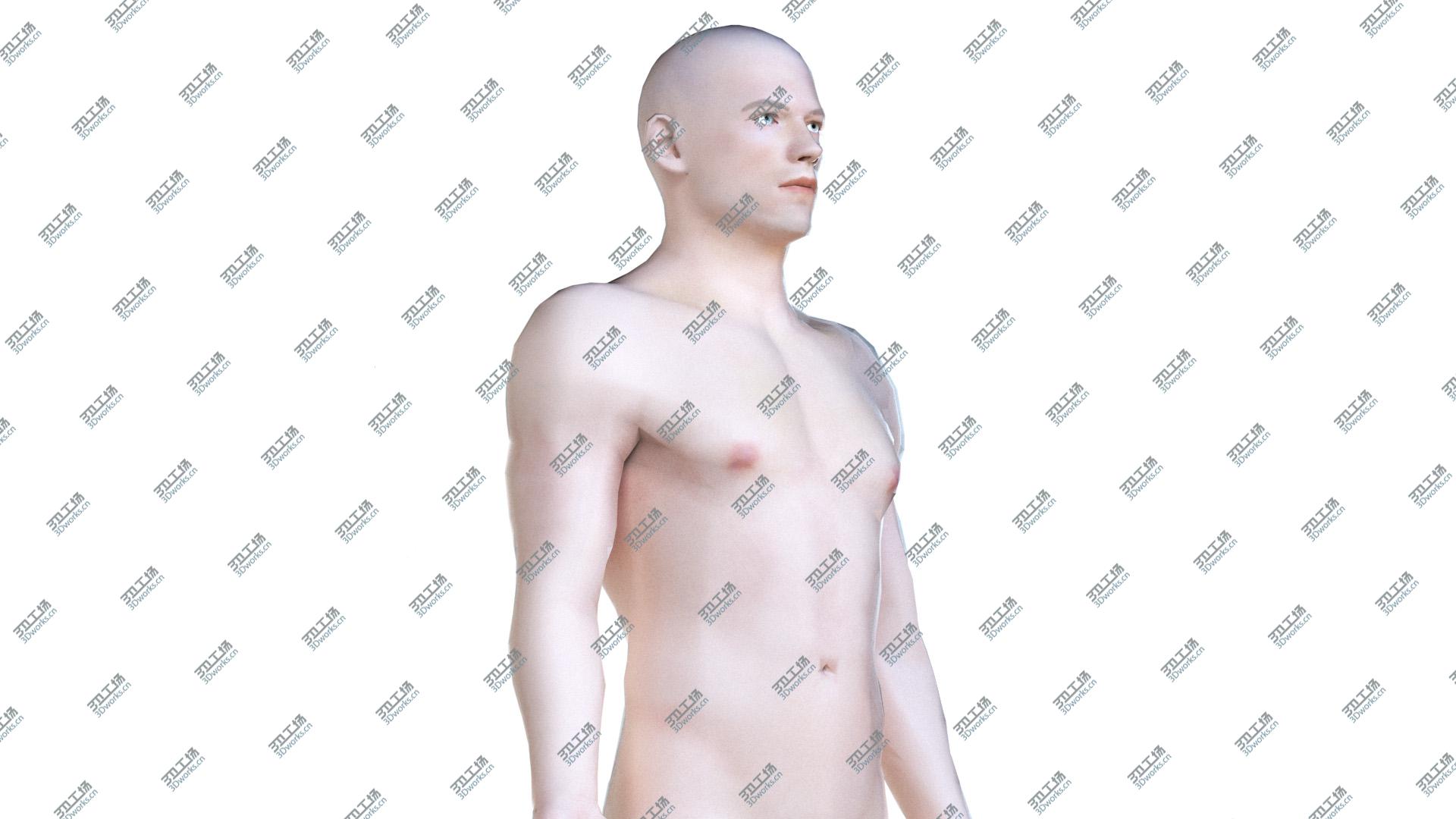 images/goods_img/20210313/Male Body, Skeleton and Muscles (Low Poly) 3D model/5.jpg